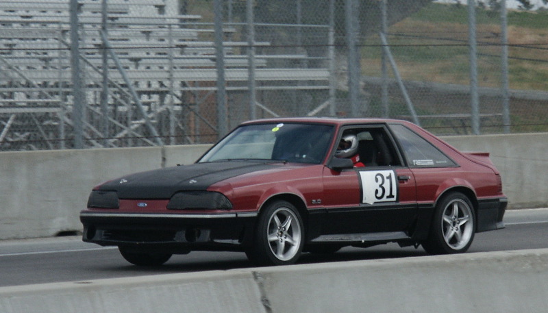 Mustang31