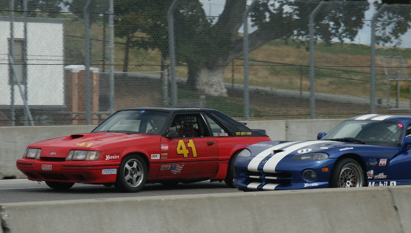 blueviperredmustang
